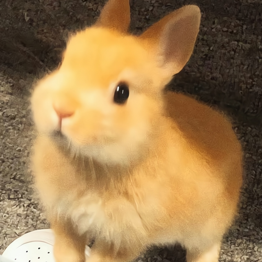 Re.