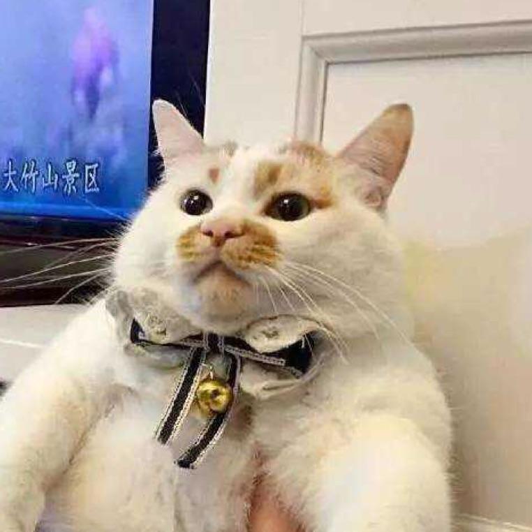 QQ用户17687785