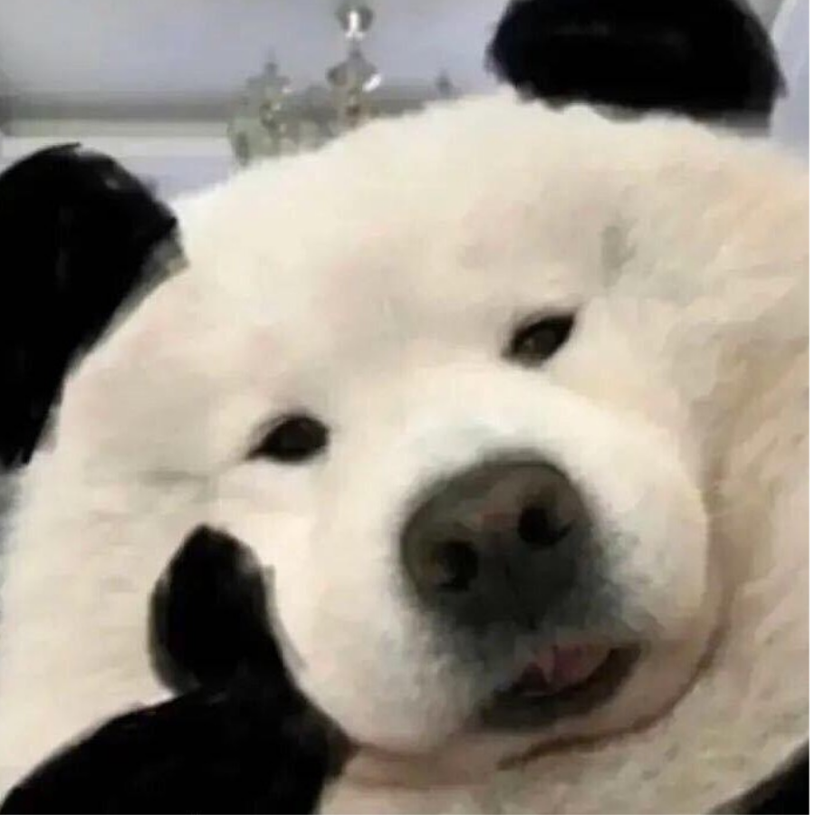 塔西佗走