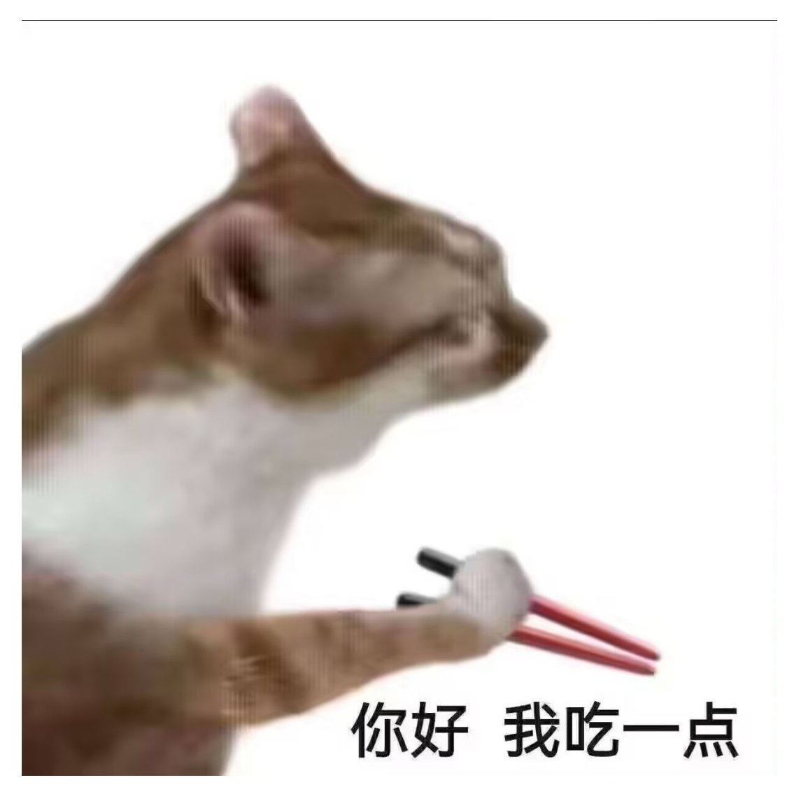 海藻泥变异版