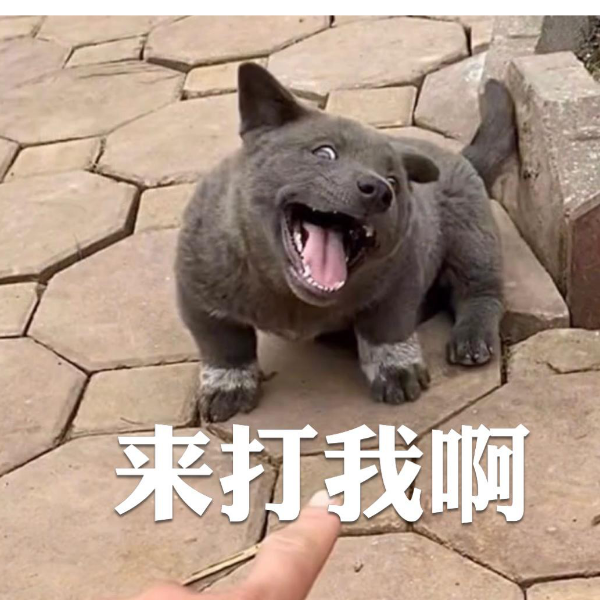 摆烂时代