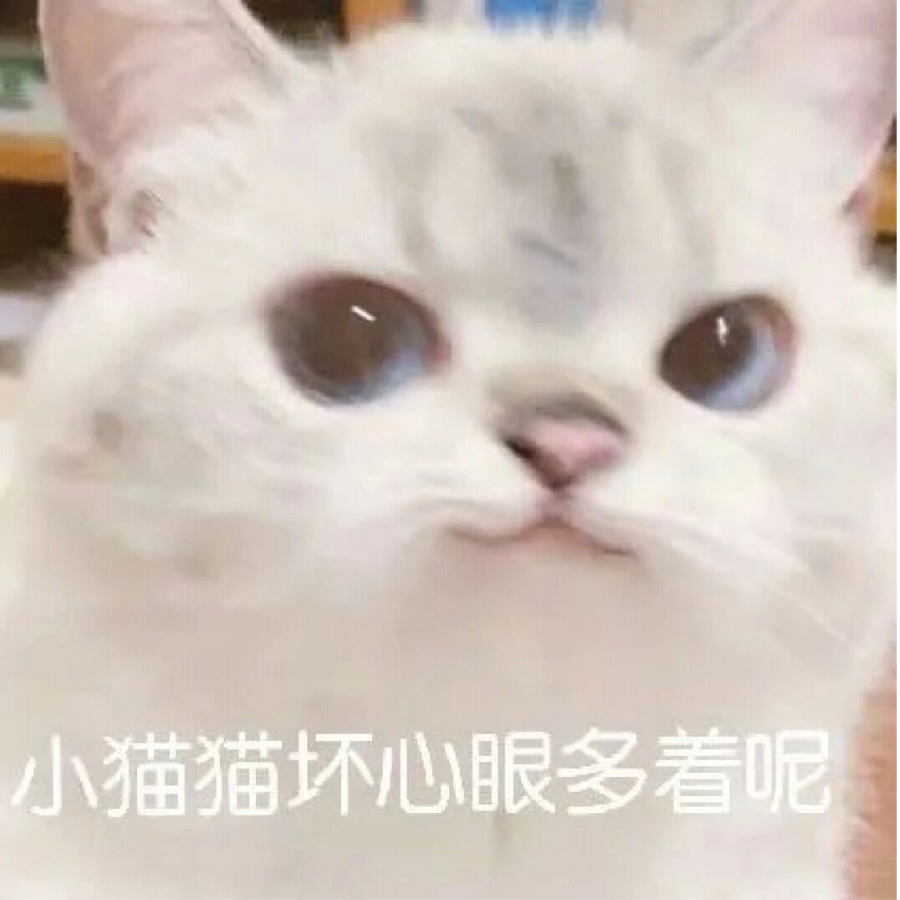 羽羽子