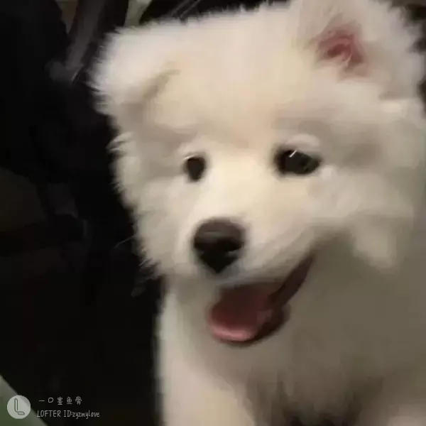 白於