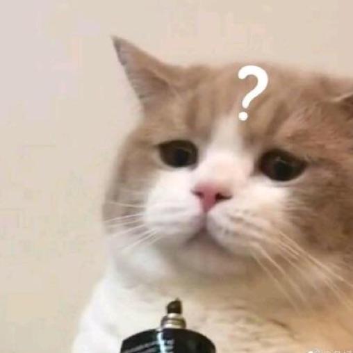 房顶的猫