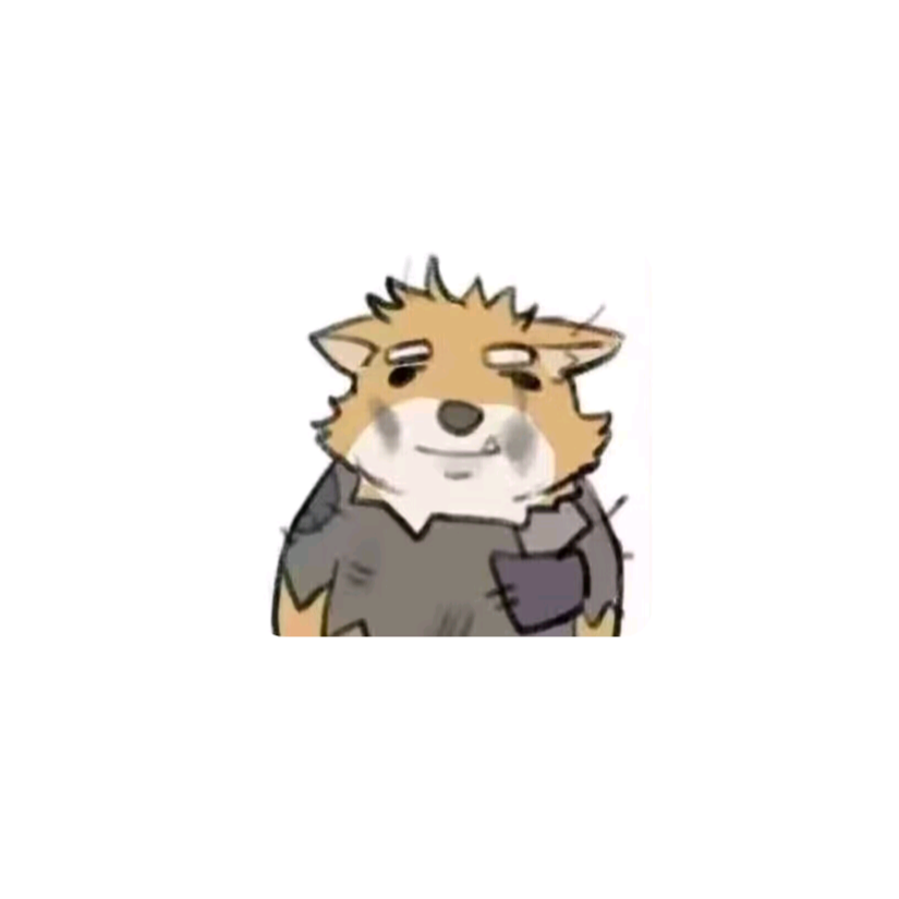 桑启