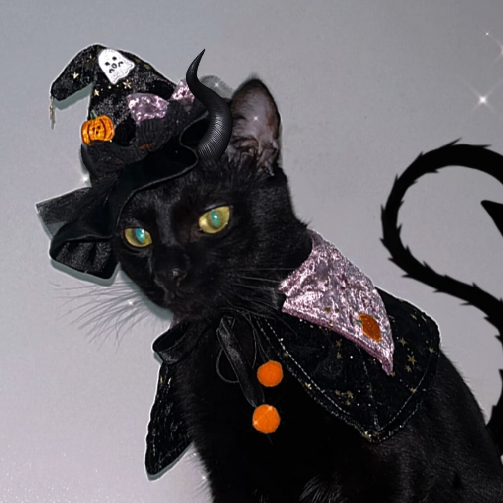 爱玩独游の煤煤