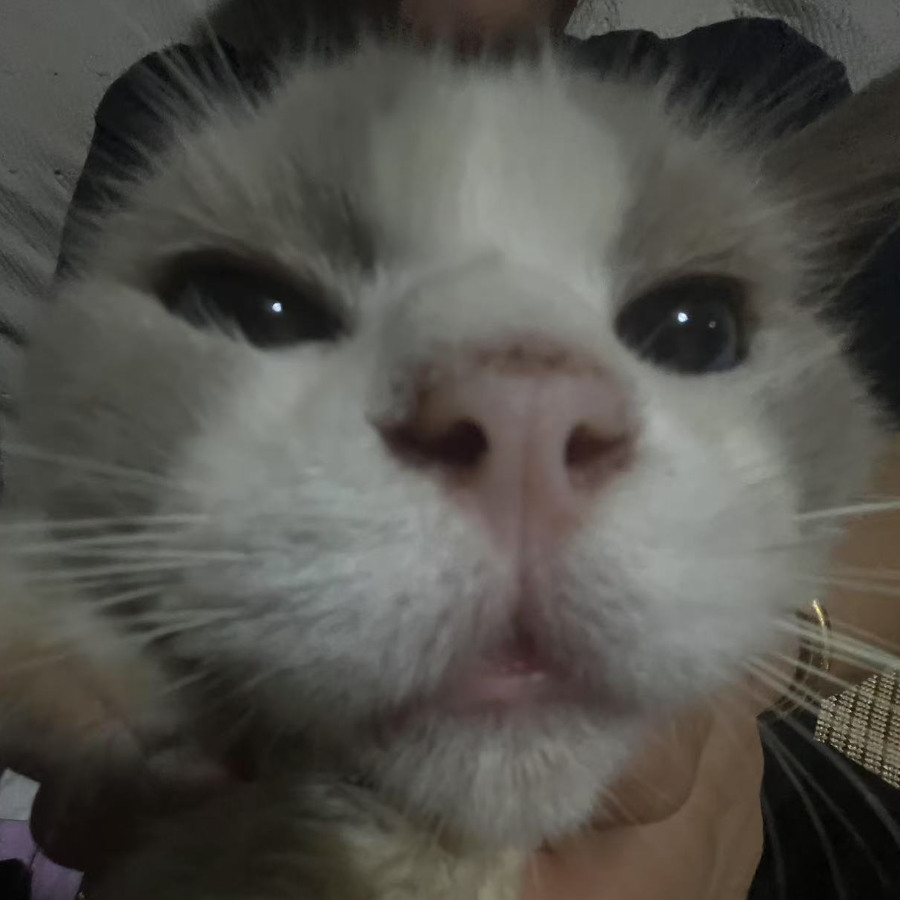 ♞艺♪珂♚