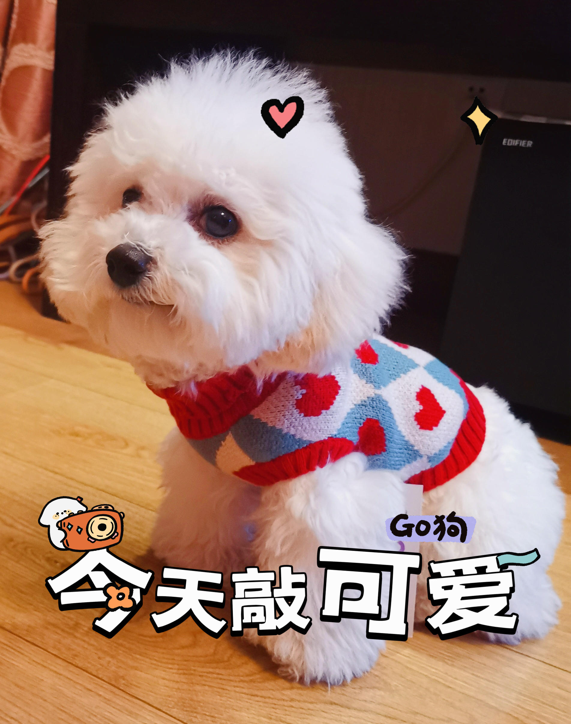 刘老师啊啊啊啊啊