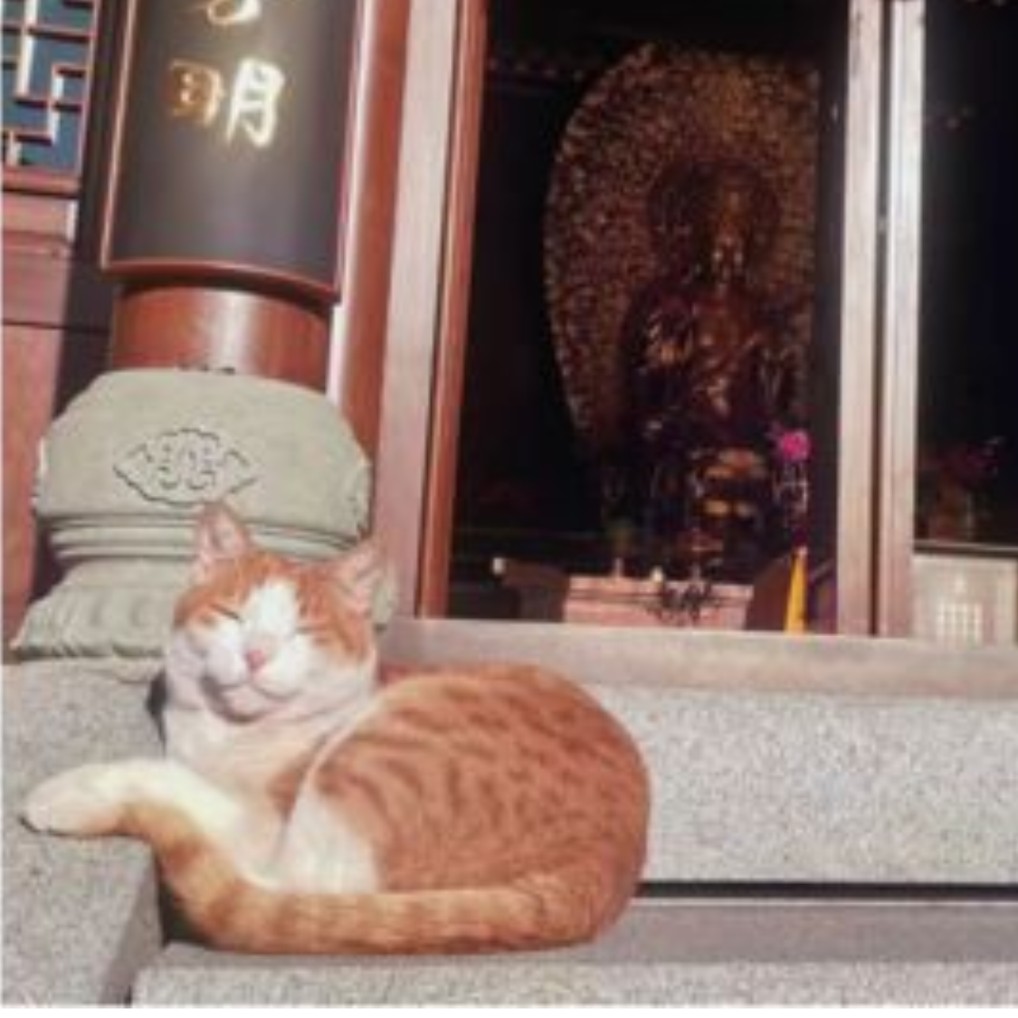 ꧁ℳ❦༒❦ℳ꧂