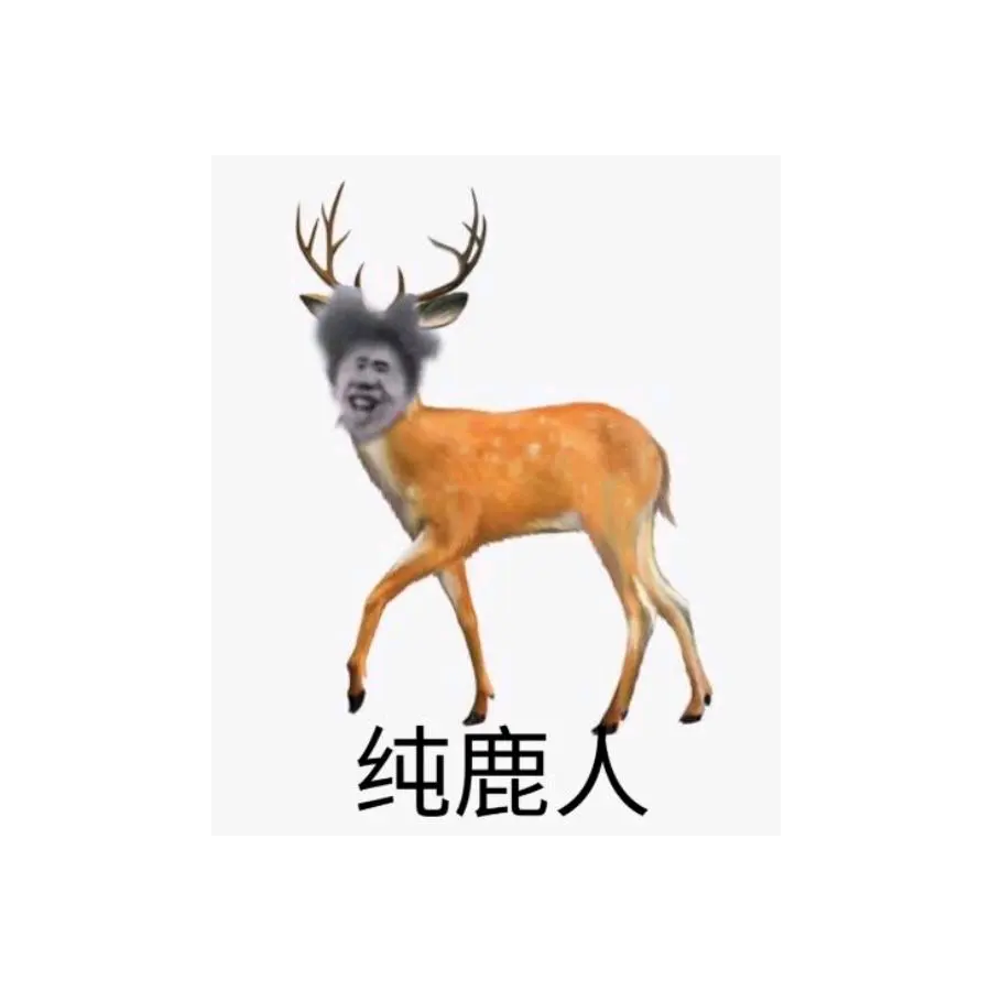 纯路人