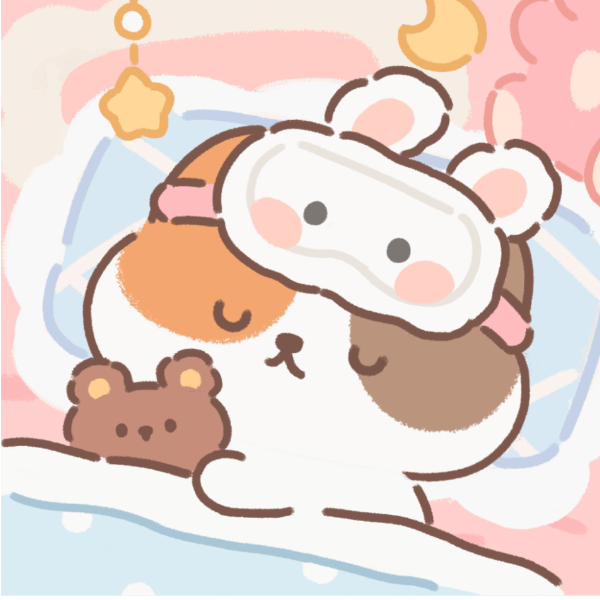 兔子🐰