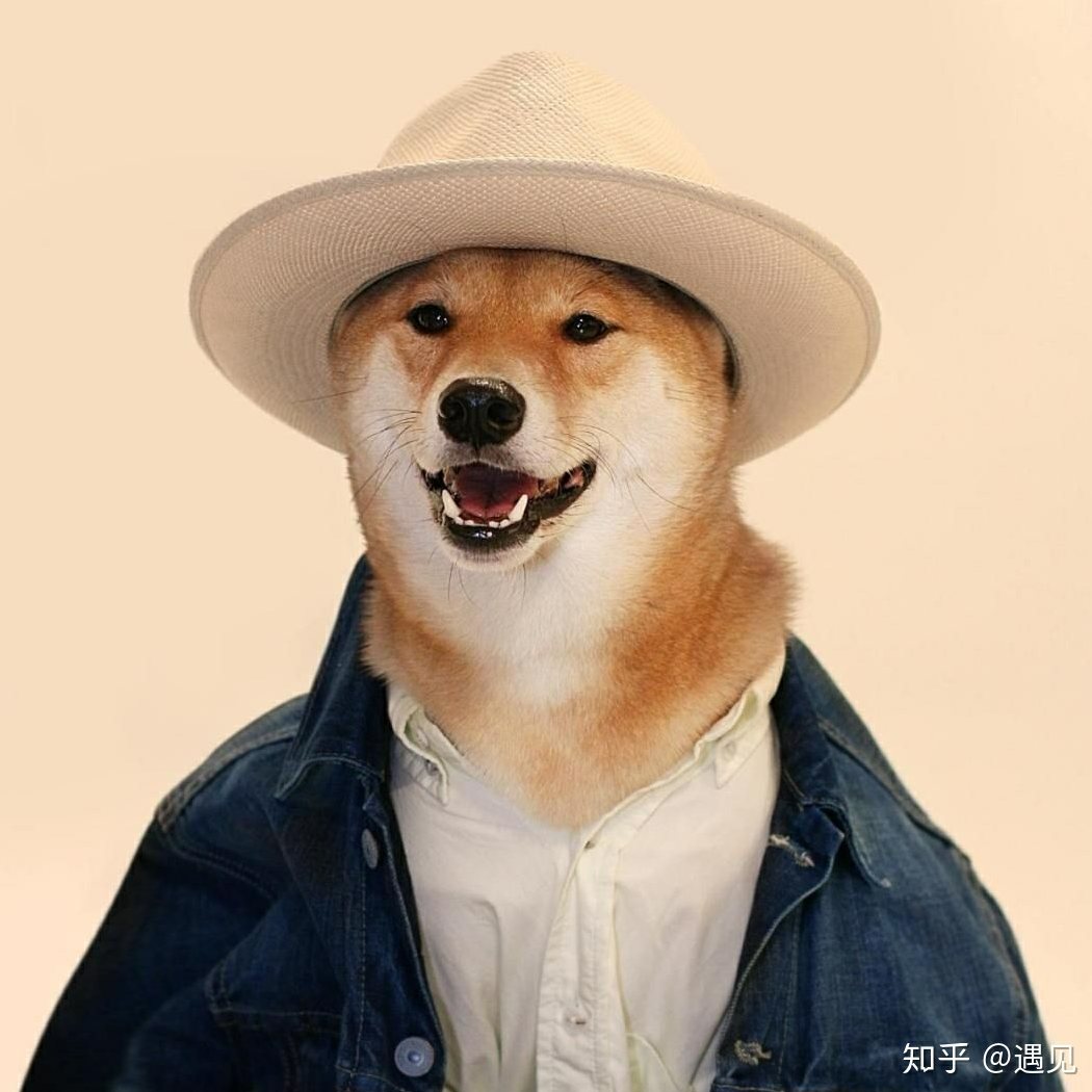 奇妙能力戈