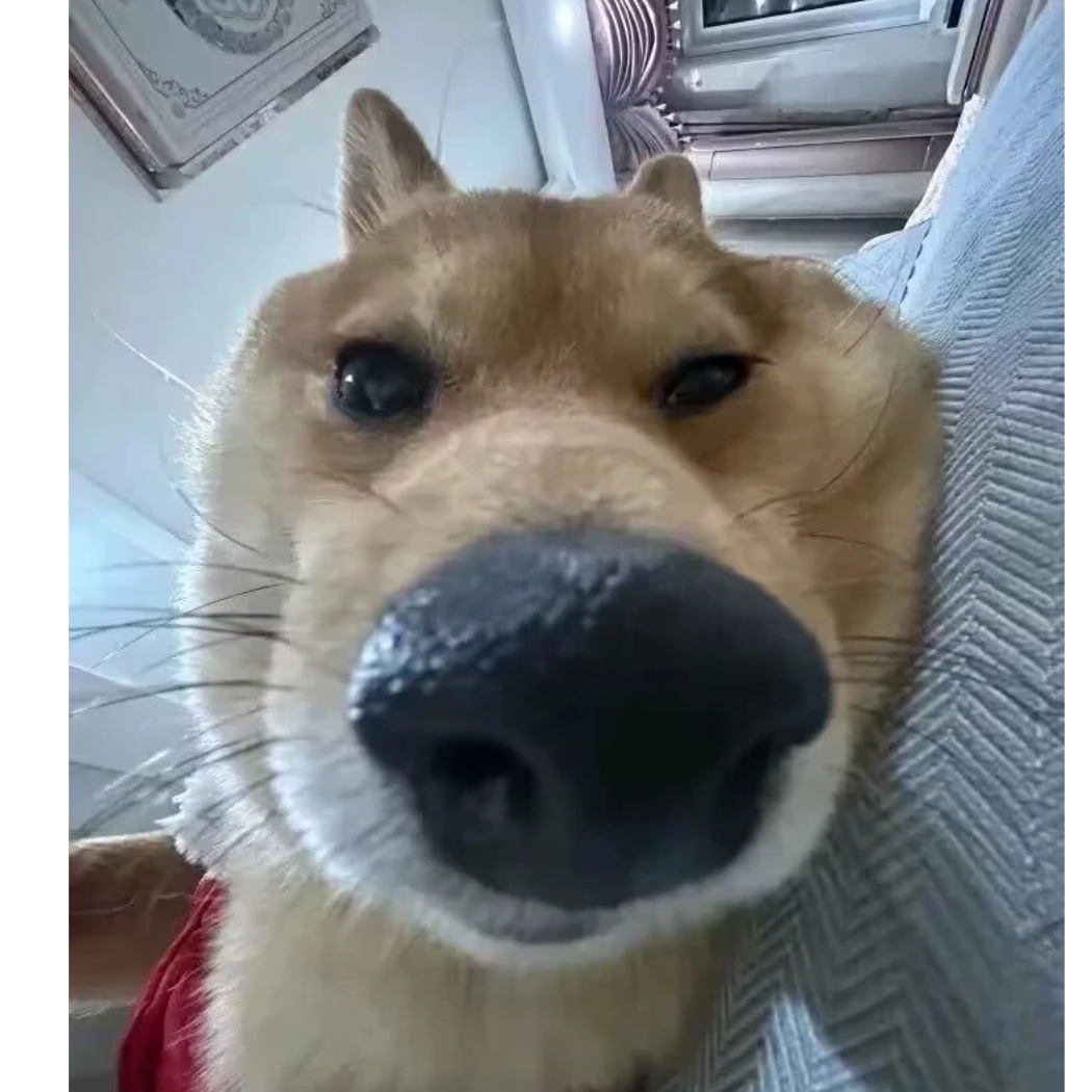 钓，就硬钓