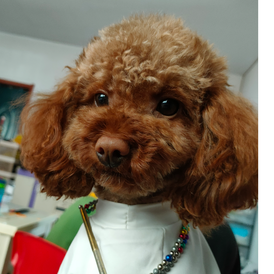 专治垃圾游戏