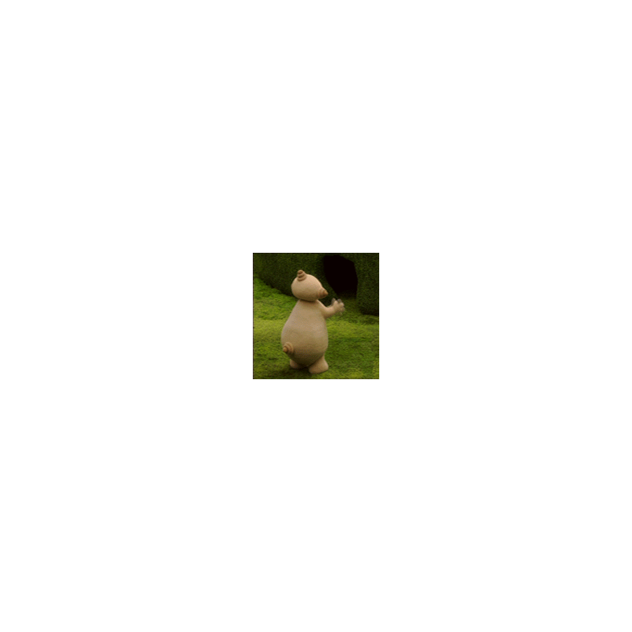 YY