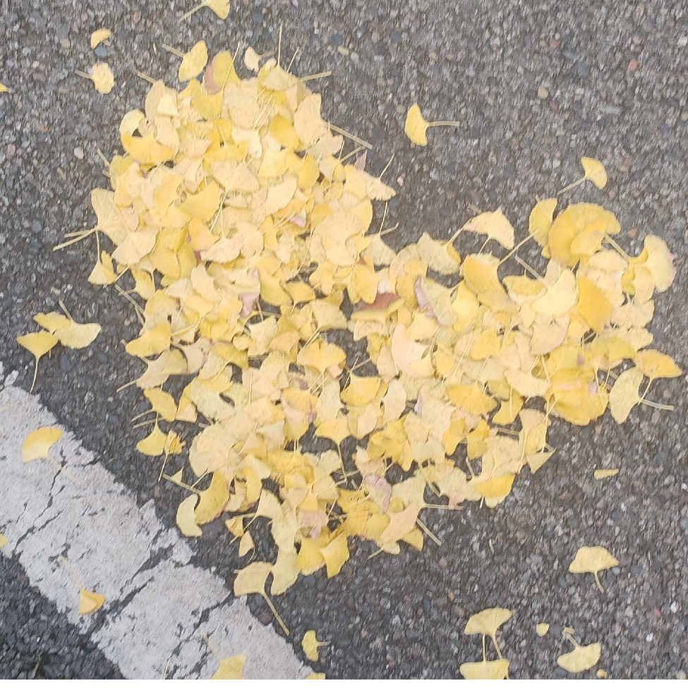 米泽