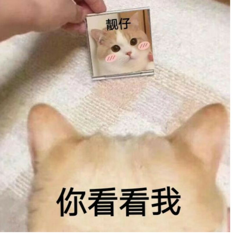 顾我心安