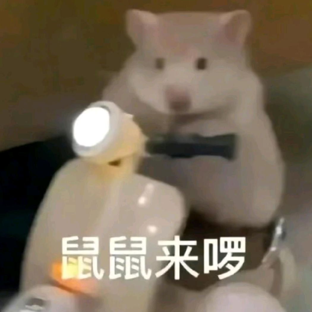 鼠鼠来啰