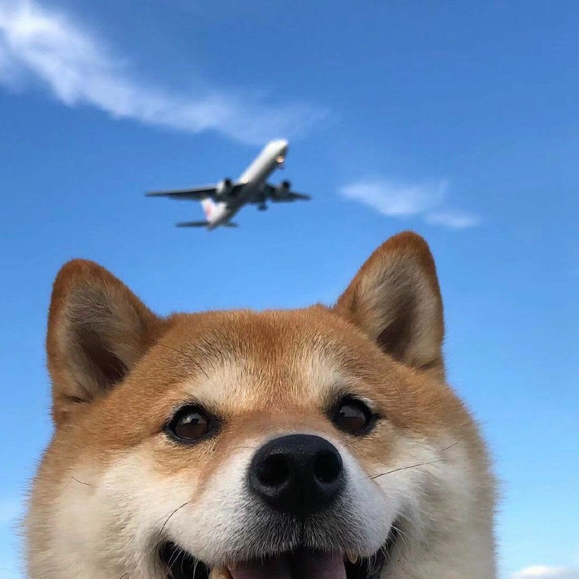 R痴~~此生不弃//