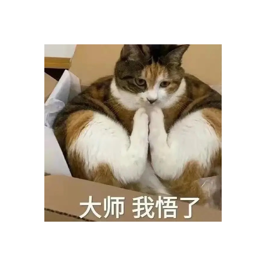 橙橙