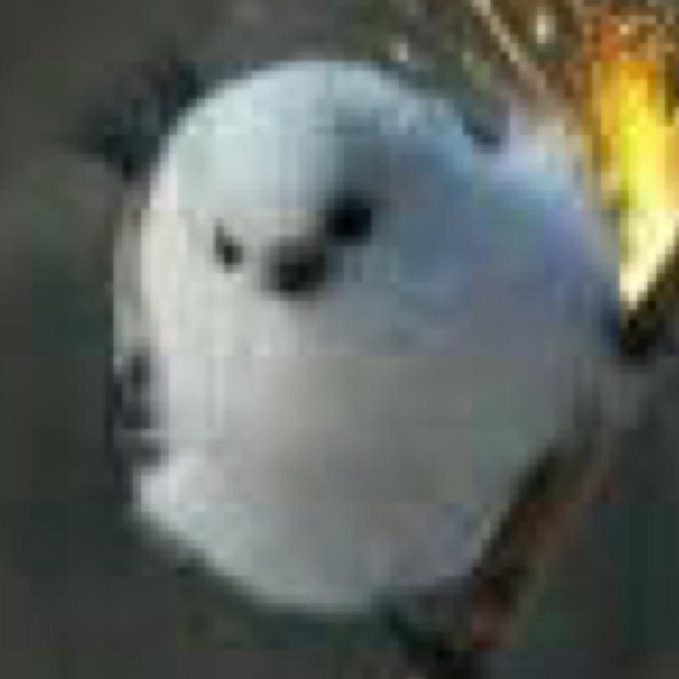 野火