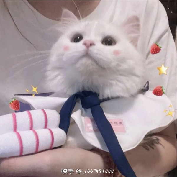 猪宝吖