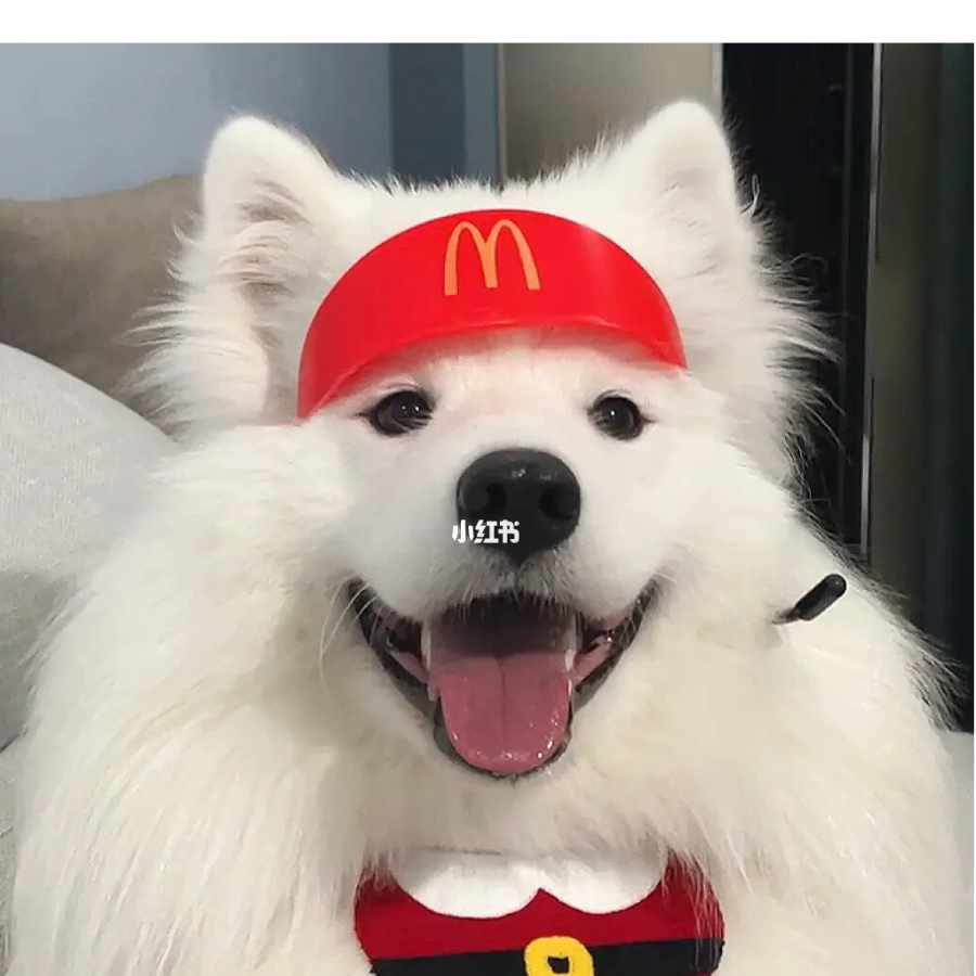 芜湖