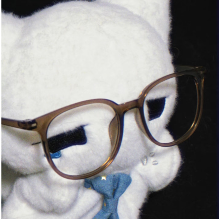 木底四尾透明鱼