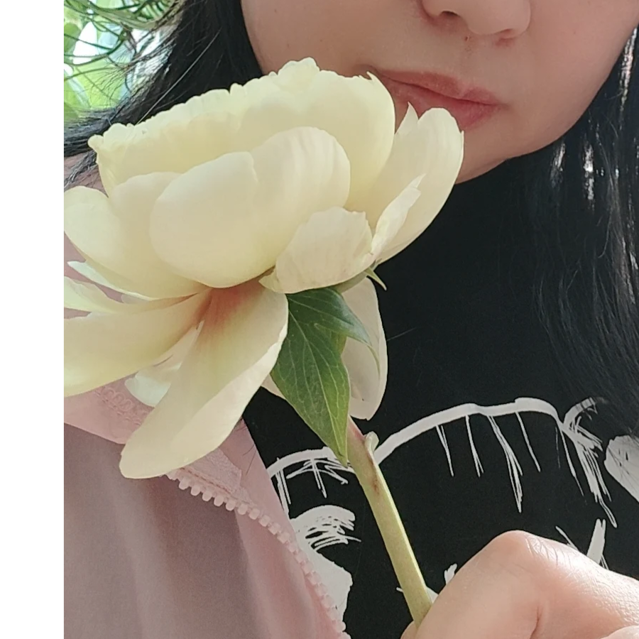 清歌
