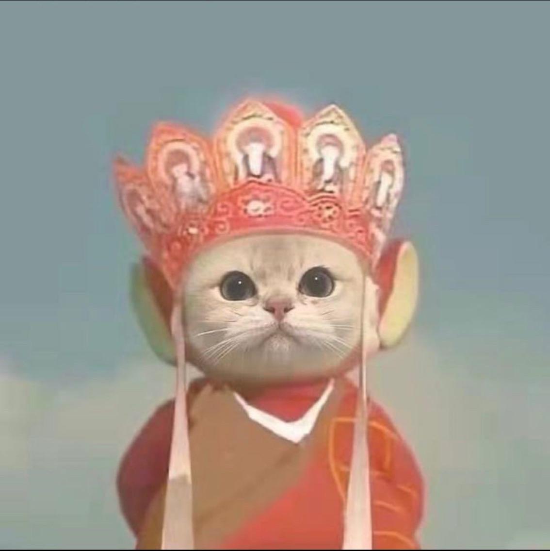 浩小羽