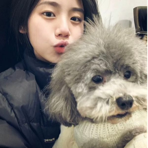 手机用户63116352