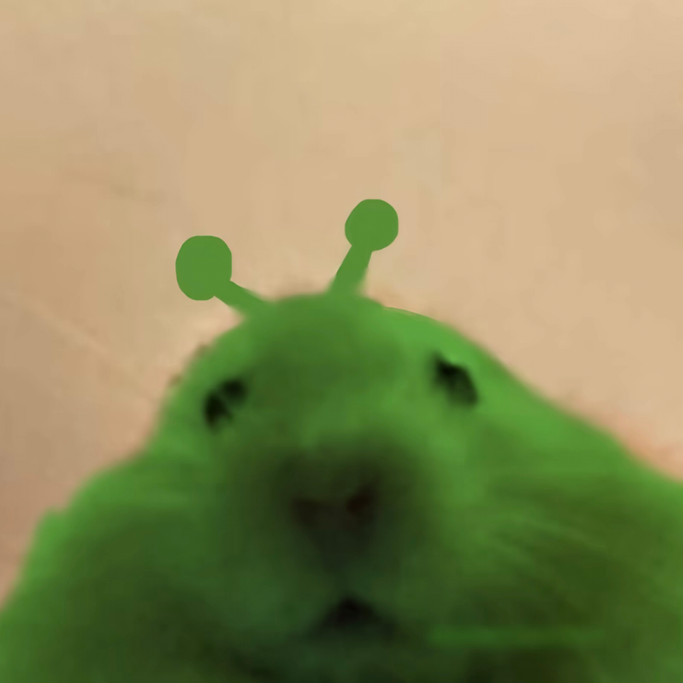 倥崽