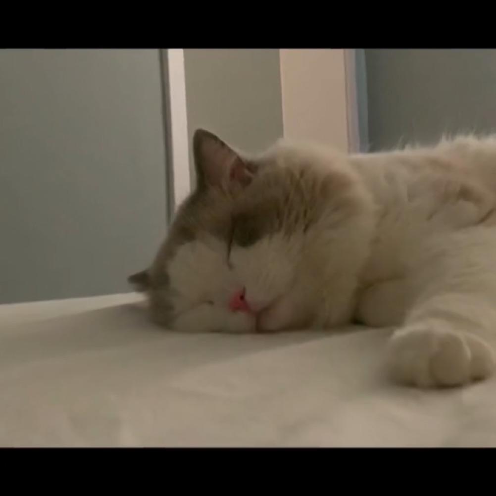 顾筱旎