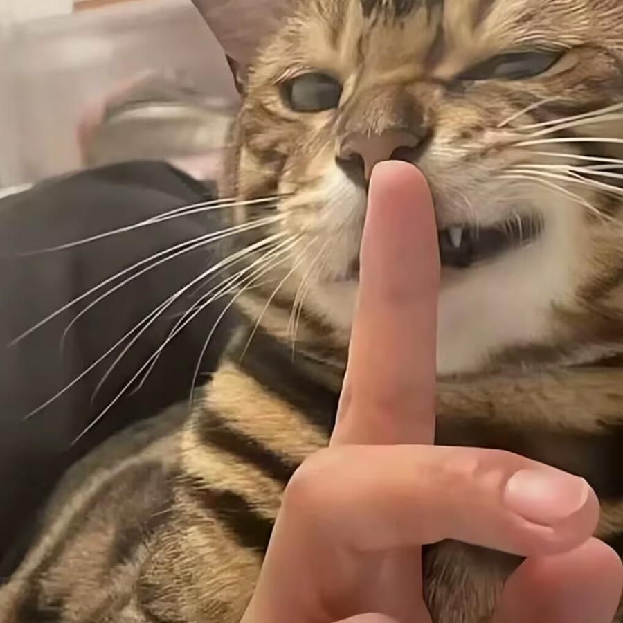 我的小富婆在哪里～