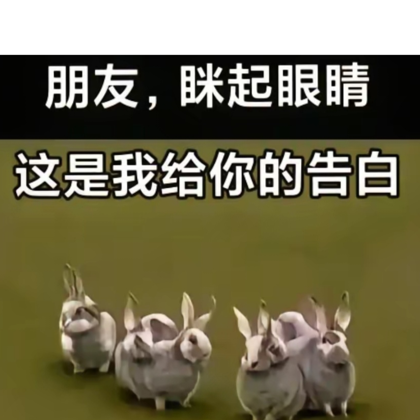 肆意