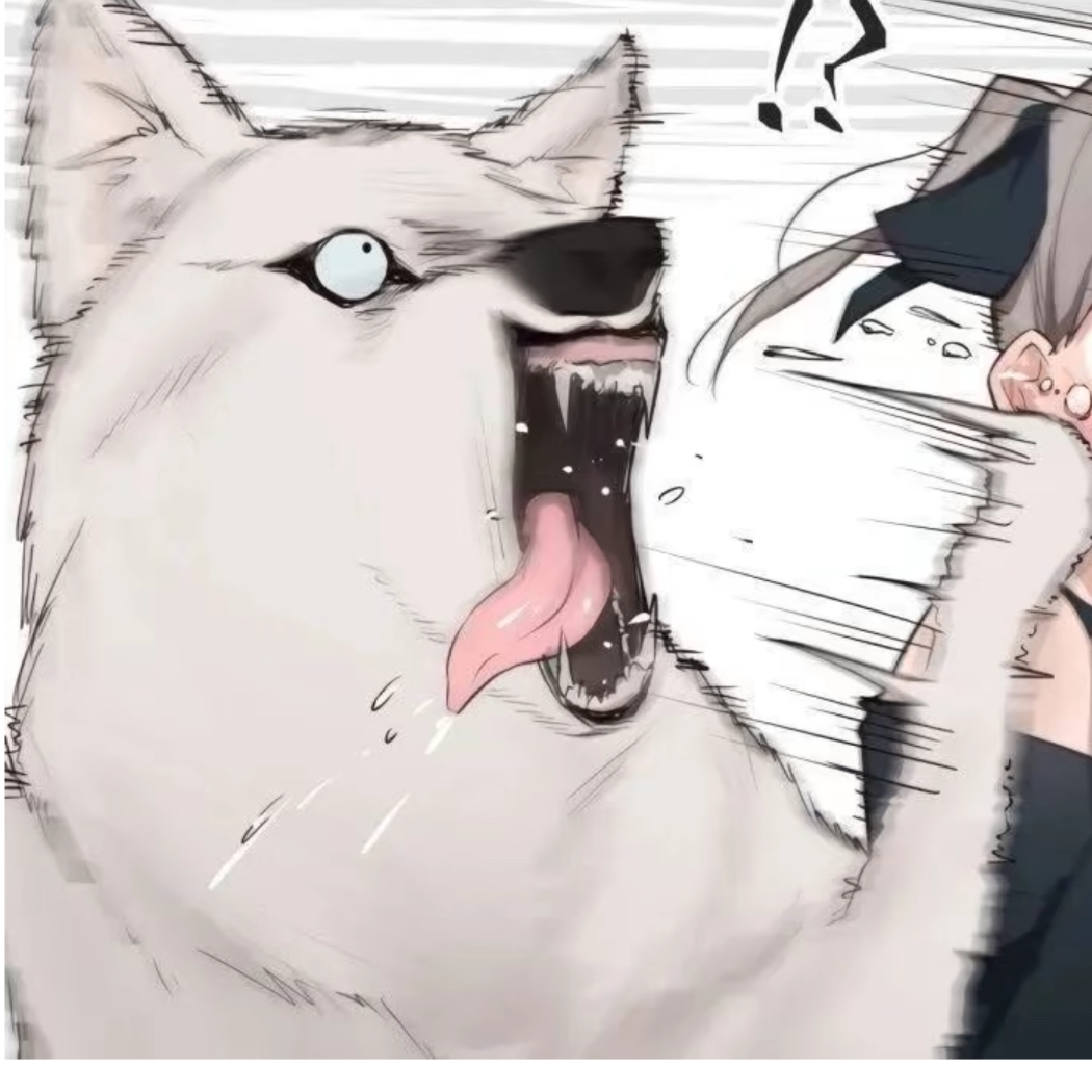 道一