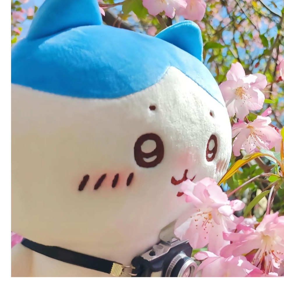 沐沐夕