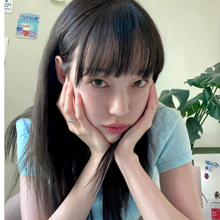 菜菜