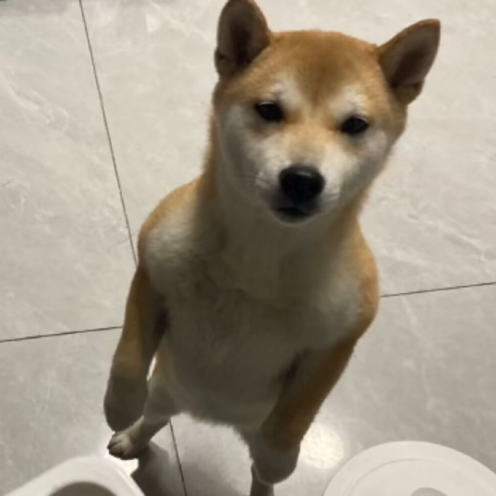 黯然平a拳
