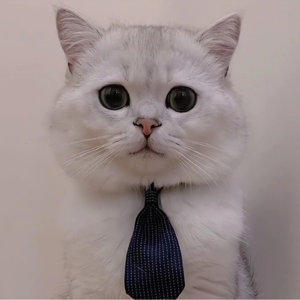 方某