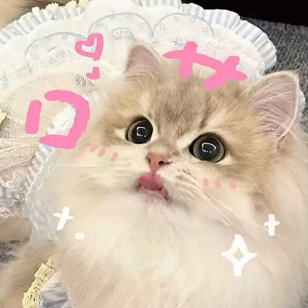 小乖