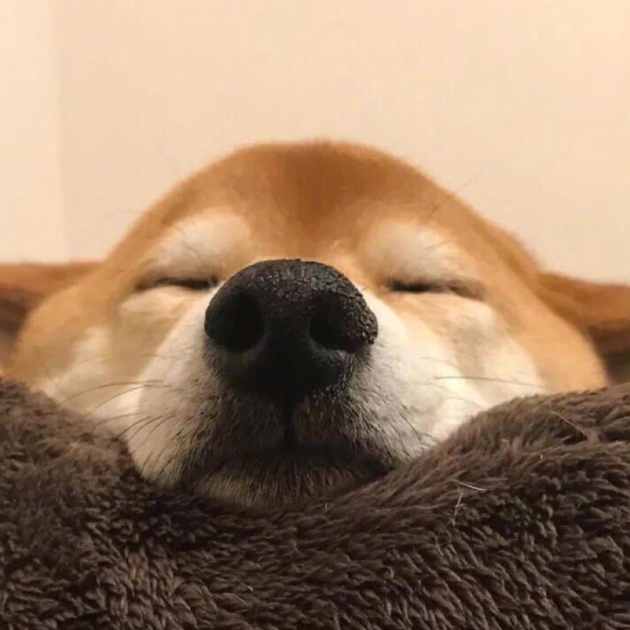 隐。