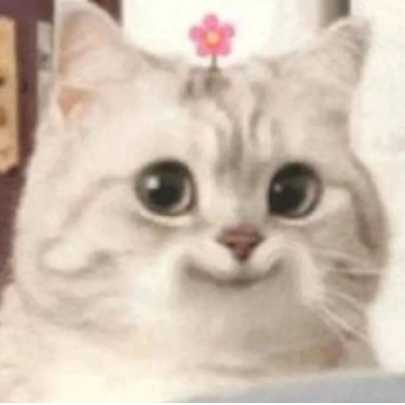 渣渣文