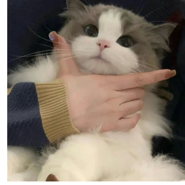 幸福快乐伴随我