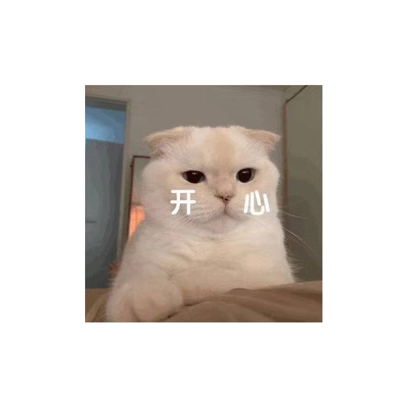 安屿