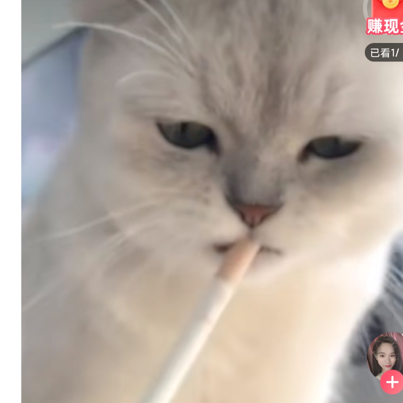生亦何欢死亦何惧