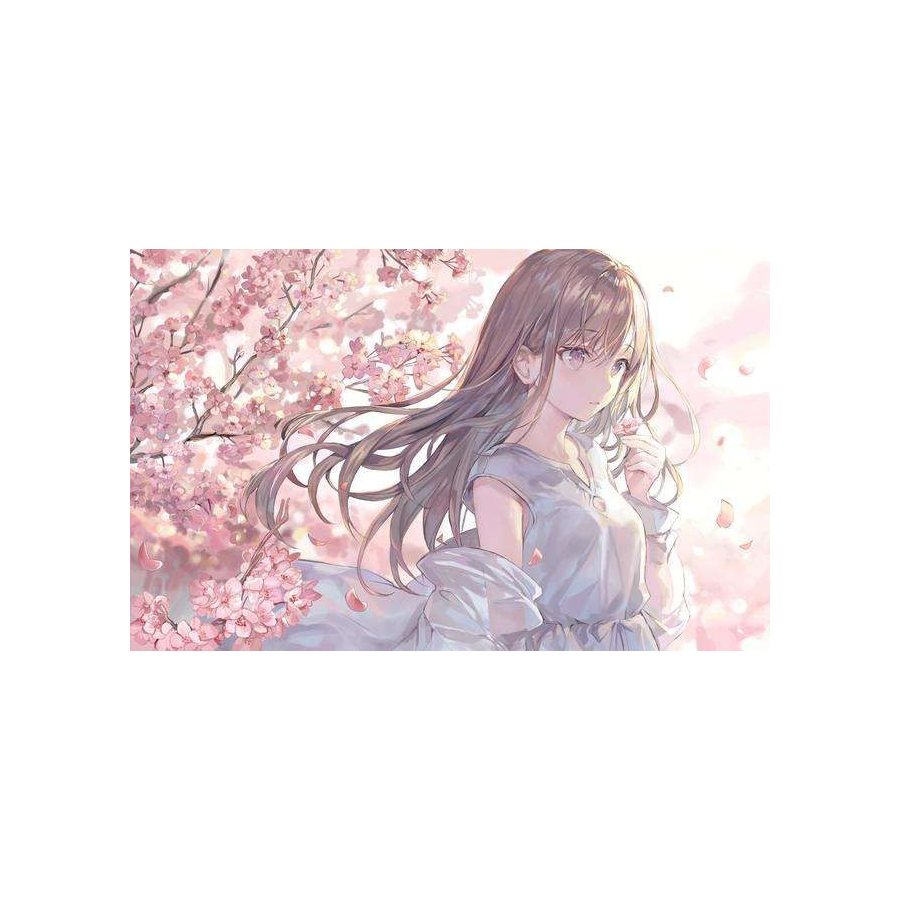 光辉之王