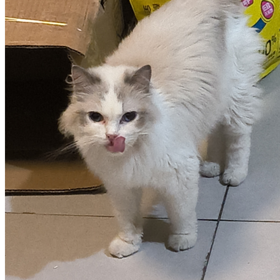 电子游戏只有兄弟没有爱情