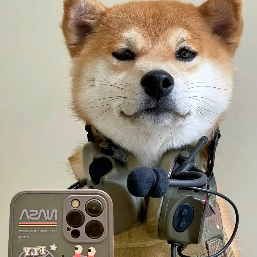 忘