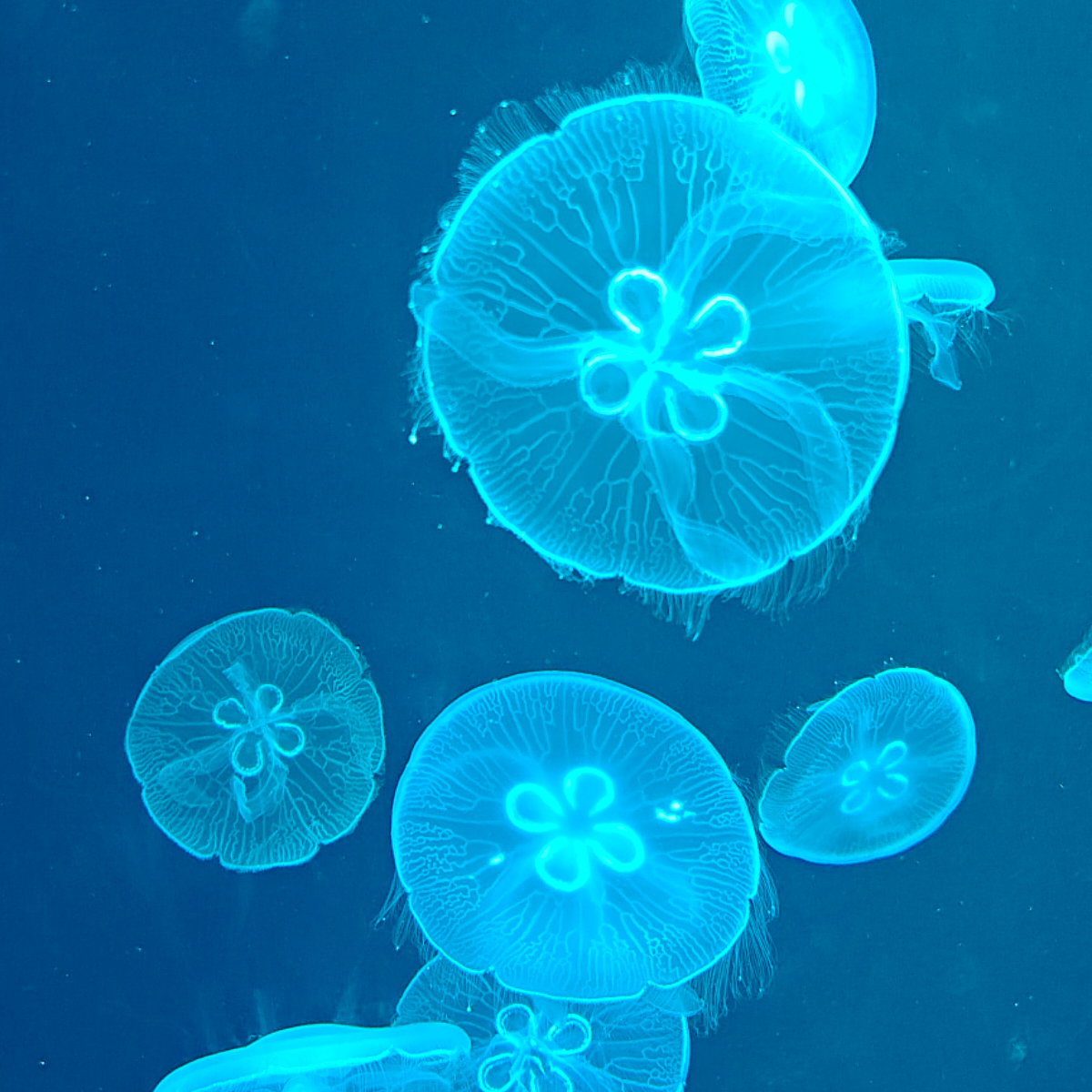 沉浮